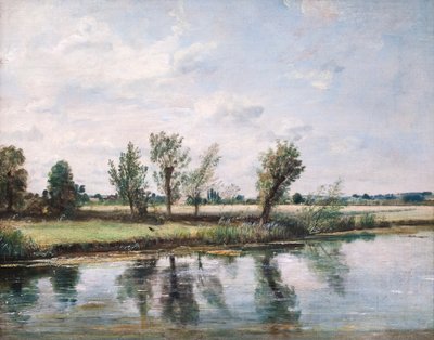Salisbury yakınlarındaki Watermeadows by John Constable