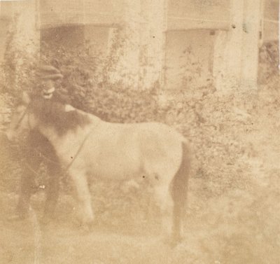 [İnsan ve At, Hükümet Konağı, Allahabad], 1858. by John Constantine Stanley