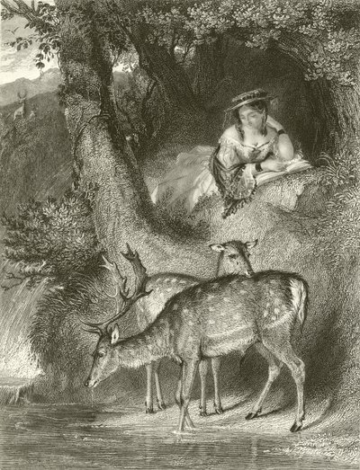Mountain Solitude  by John Corbould