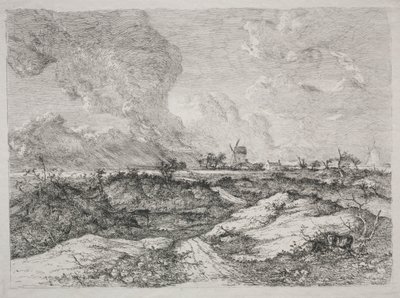 Mousehold Heath, c. 1810-13. by John Crome