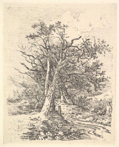 Ağaç Gövdeleri ve Şerit, 1811-13. by John Crome