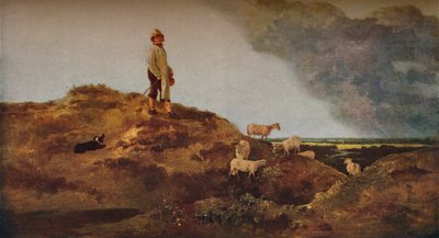 Norwich yakınlarındaki Mousehold Heath