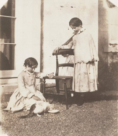 Zavallı Kediyi Beslemek, 1853-56. by John Dillwyn Llewelyn