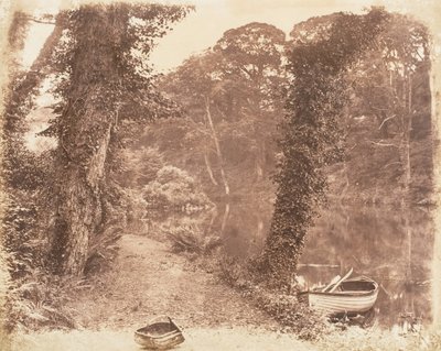 Yukarı Göl, 1853-56. by John Dillwyn Llewelyn