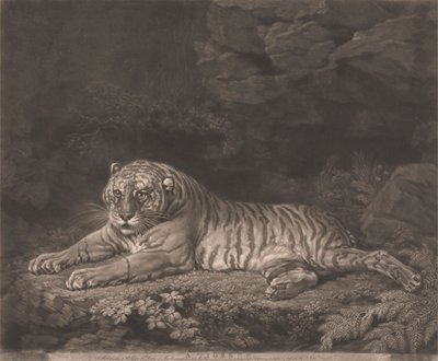 Bir Kaplan by John Dixon