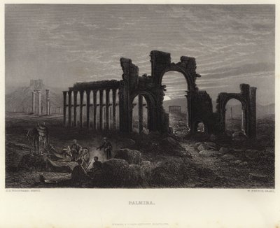 Palmira by John Douglas Woodward