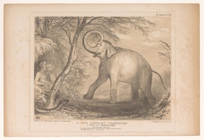 Spotpret, Lord Ellenborough ile bir araya geldi. als een wilde olifant Vahşi bir fil trompet ediyor. Paradise Lost