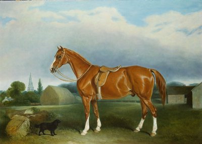 Çiftlik Binalarından Bir Kestane Avcısı ve Bir Spaniel by John E. Ferneley