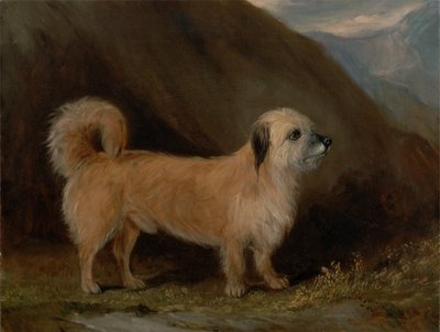 Bir Dandie Dinmont Teriyeri by John E. Ferneley