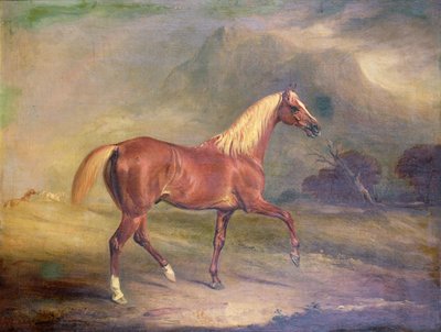 Kestane Arap Aygırı by John E. Ferneley