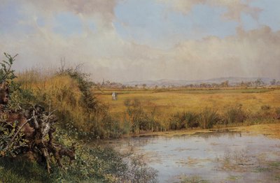 Bilinmeyen resim by John Edward Newton