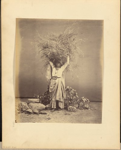  by John Edward Saché