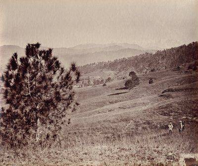 Ağaç ve Üç Adam, Hindistan ile Manzara by John Edward Saché