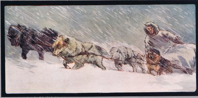 Bir kızak çeken Huskies, 1919