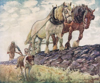 Tarlayı sürmek, 1919