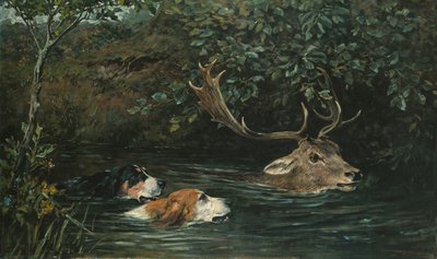 Suya Gitti, 1899 by John Emms