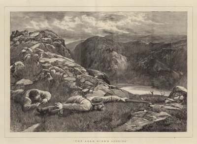 Auld Hind'in Bakışı by John Evan Hodgson