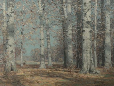 Sonbahar Kayınları, c.1908-1915 (tuval üzerine yağlı boya) by John Fabian Carlson