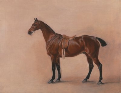 Bir Eyerli Körfez Avcısının İncelenmesi by John Ferneley