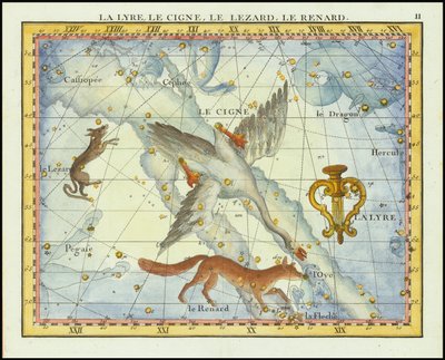 1776 - John Flamsteed - La Lyre, Le Cigne, Le Lezard, Le Renard (Lyra, Cygnus, Lacerta, Vupecula) by John Flamsteed