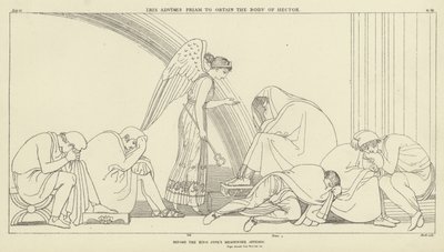 Iris, Priam