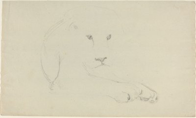 Aslan by John Flaxman
