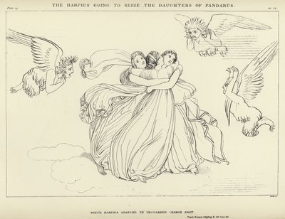 Harpiler Pandarus
