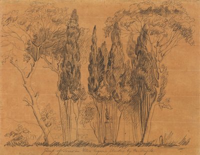 Villa Negroni'de M. Angelo Tarafından Dikilen Ağaçlar by John Flaxman