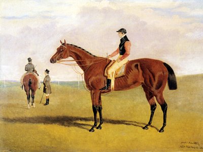 Robinson ile 