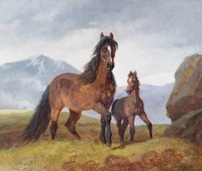 Bir Galli Dağ Kısrak ve Tay, 1854 (panel) by John Frederick Herring Senior