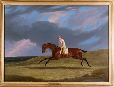 "Corduroy", bir Bay Yarış Atı, Jokey Yukarı, Bir Hipodromda Dörtnala Yürüyen by John Frederick Herring Senior