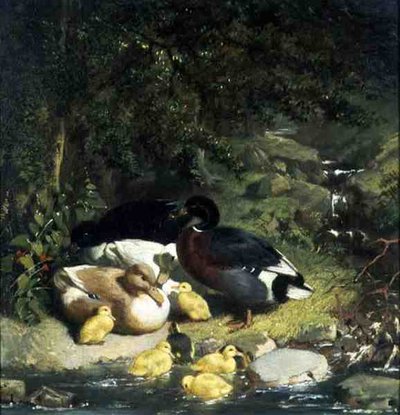 Ördekler ve Ördek Yavruları by John Frederick Herring Senior