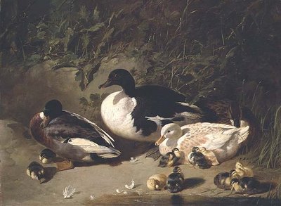 Göl kenarında ördekler ve ördek yavruları by John Frederick Herring Senior