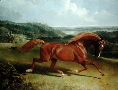 Bir Manzarada Dörtnala At (tuval üzerine yağlı boya) by John Frederick Herring Senior