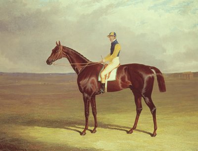 Newmarket Heath üzerinde Bay M. Stanleys Koltuk Değneği, 1833 by John Frederick Herring Senior