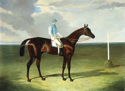 Bayanlar Ridsdale