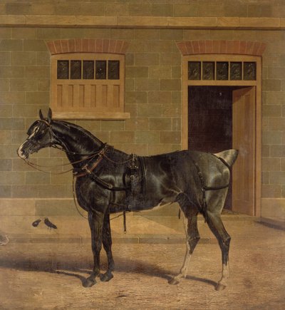 Bilinmeyen resim by John Frederick Herring Senior