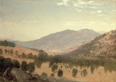Bergen Park, Colorado (tuval üzerine yağlı boya) by John Frederick Kensett