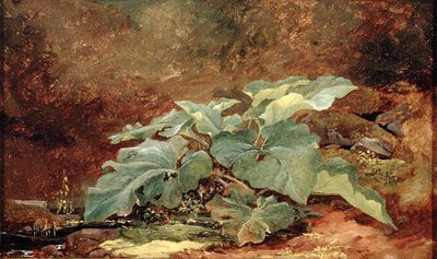 Bir Dulavratotu Bitkisinin İncelenmesi (tuval üzerine monte edilmiş kağıt üzerine yağlı boya) by John Frederick Kensett