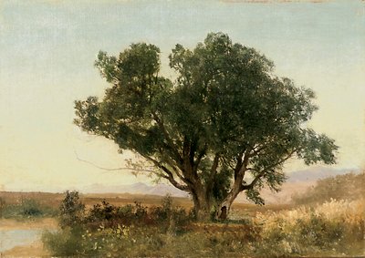 Ön Aralık, Colorado by John Frederick Kensett
