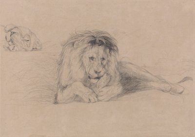 Aslan Çalışması ve Dişi Aslan Başı Çalışması by John Frederick Lewis