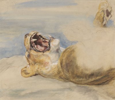 Dişi Aslan Çalışması (wc, gövde rengi ve kağıt üzerinde grafit) by John Frederick Lewis