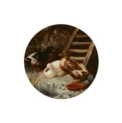 Nehir kıyısında ördekler (tuval üzerine yağlı boya) by John Frederick Herring Senior