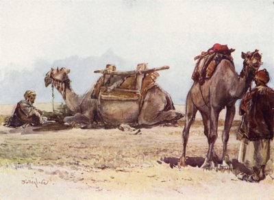 Develer ve Hizmetlilerin Çalışması by John Fulleylove