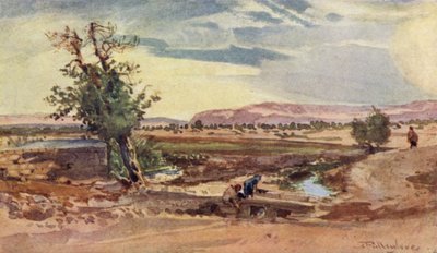 Elişa