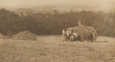 Saman Yükleme,1890-1900 (fotoğraf) by John G. Bullock