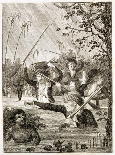 Terra Firma
