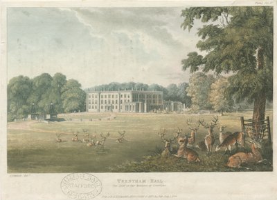 Trentham Hall: renkli litografi, nd [c 1824] (baskı) by John Gendall