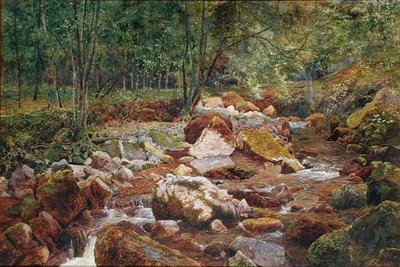 Ağaçlarla Sarkan Kayalık Bir Dere (kağıt üzerinde arap zamkı ile suluboya ve gövde rengi) by John George Sowerby