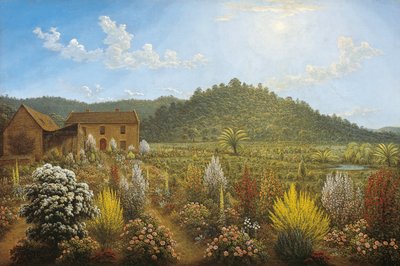 Van Diemen